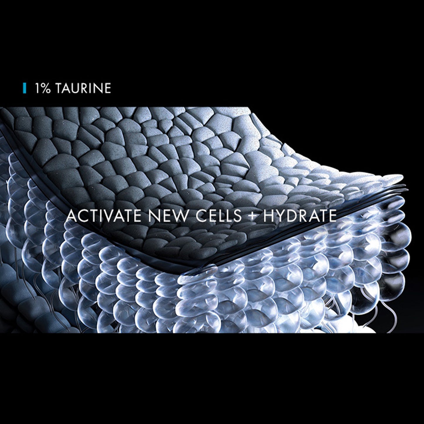 SkinCeuticals : Catalyseur du cycle cellulaire | 30 ml