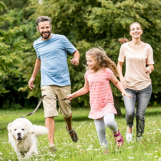 Celebrate Take a Walk in the Park Day: Get Outdoors and Get Moving