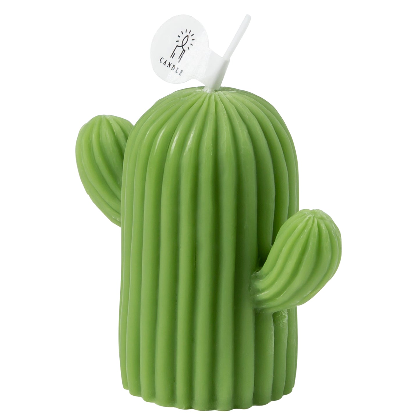 Rejuuv Cactus Shaped Scented Candle