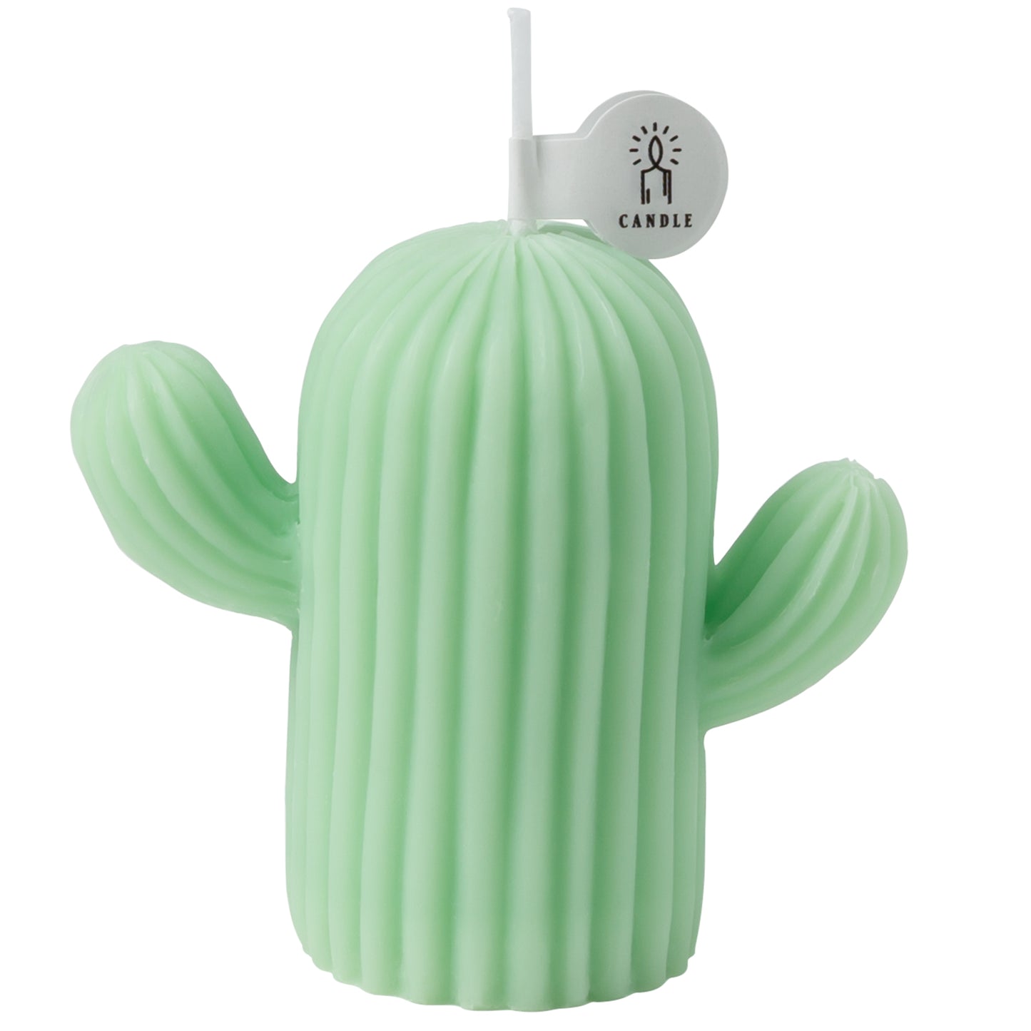 Rejuuv Cactus Shaped Scented Candle